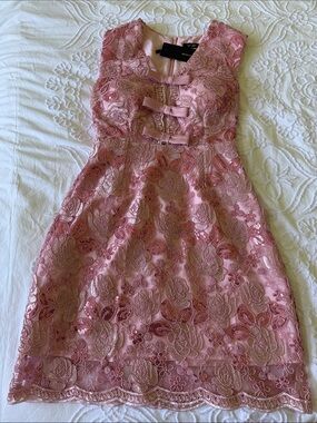 Pink Embroidered Mini Dress